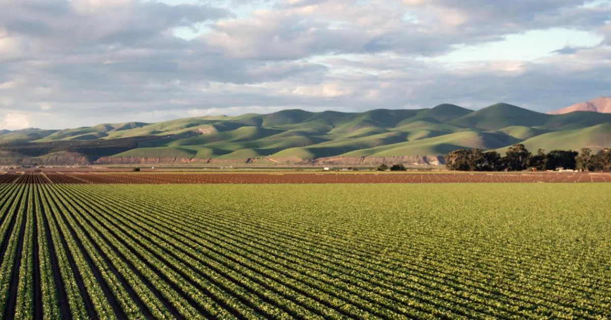 Welcoming agricultural landscape