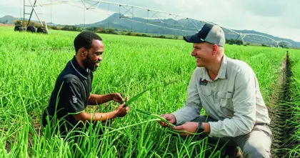 Agricultural mentors sharing knowledge