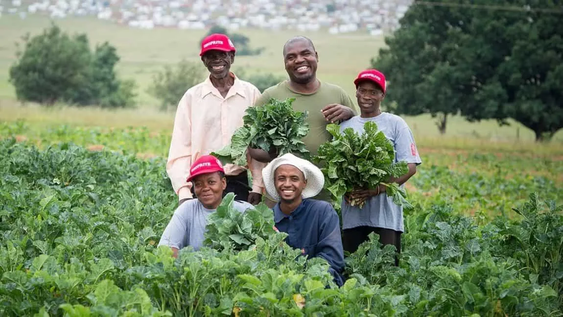 Farmers together in a productive field