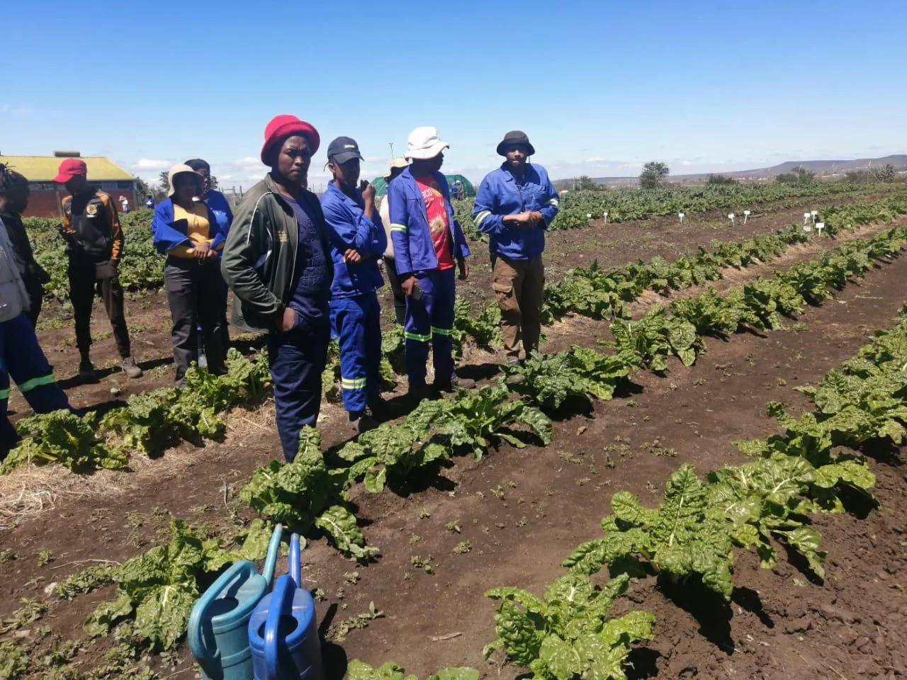 Learners on a practical farm visit