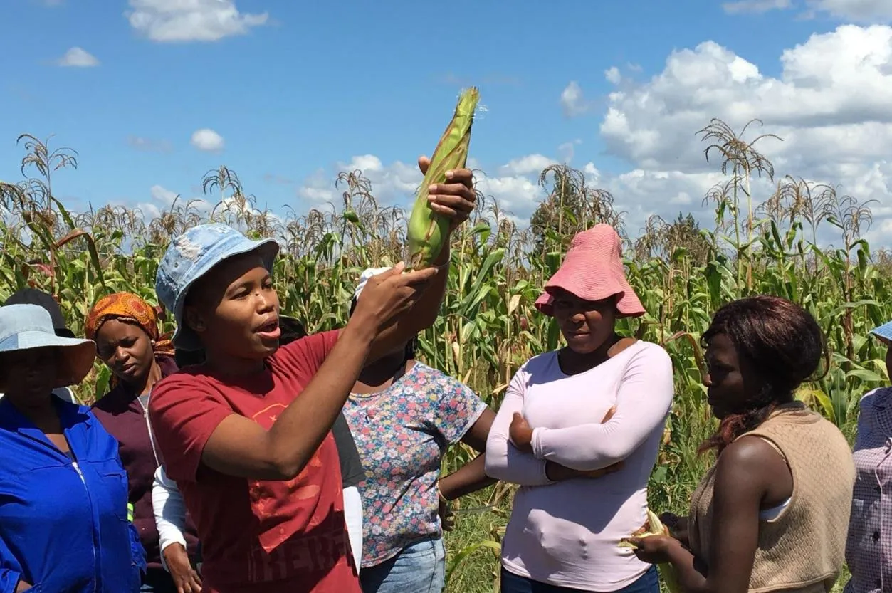 Practical farmer development discussion