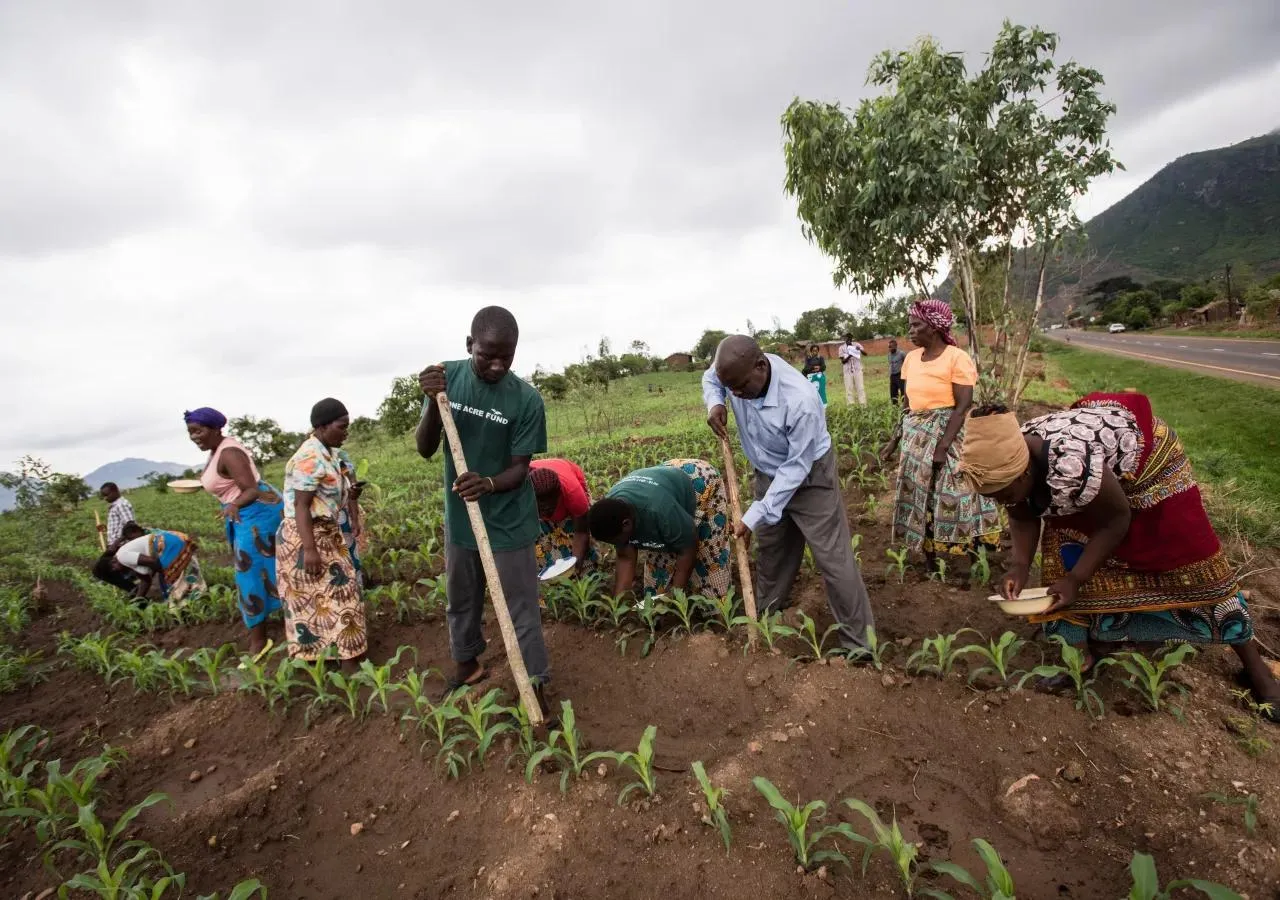 Community working agricultural land